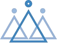 DNS Software Ltd. logo